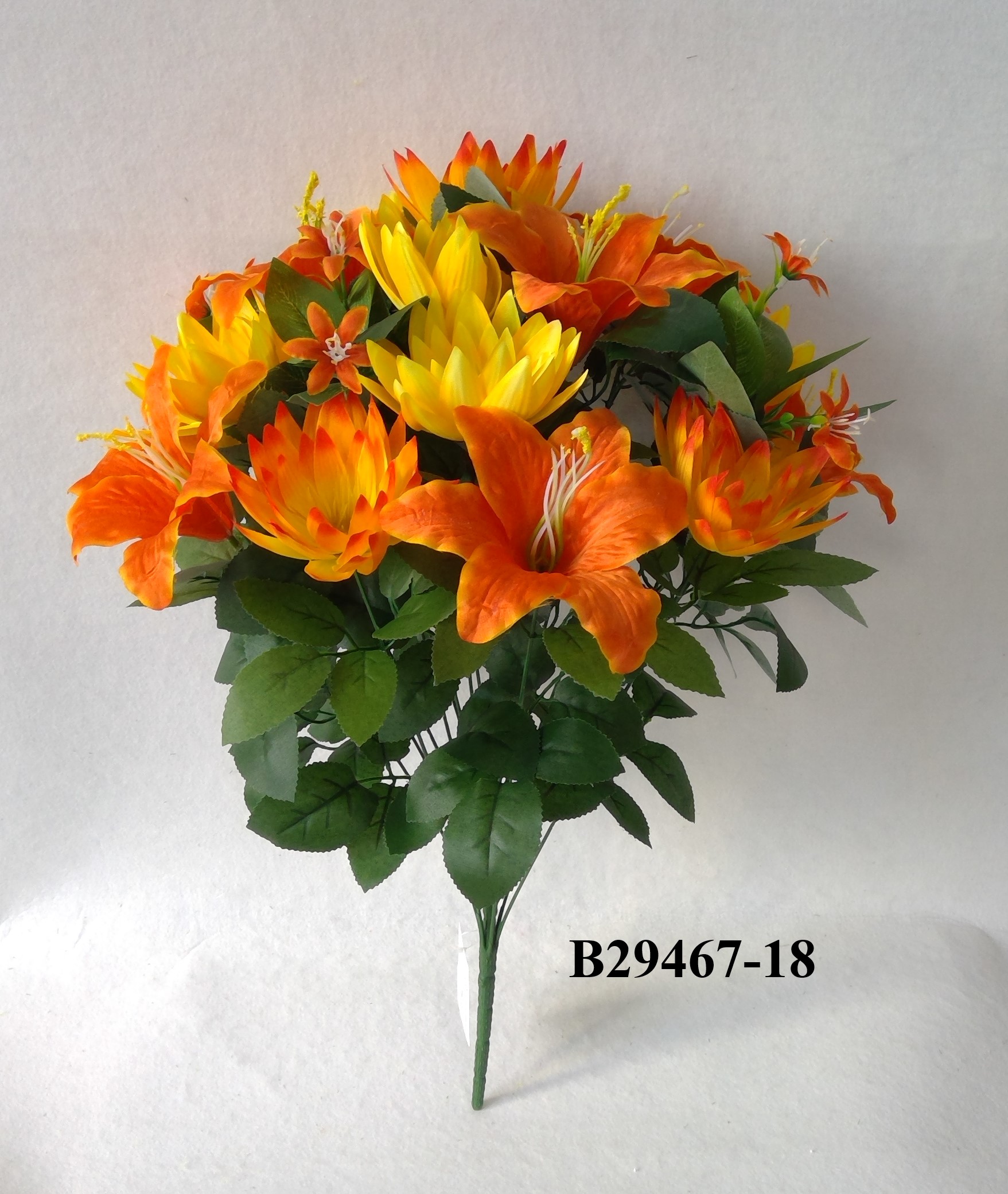 Lotus tiger lily mix bush x 18