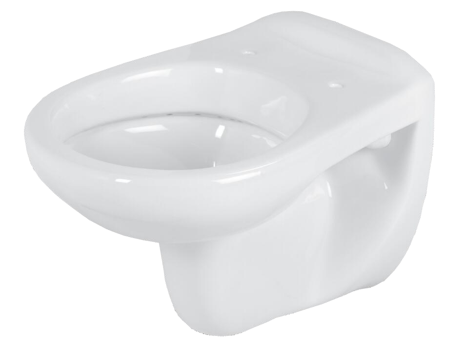 wall hung toilet