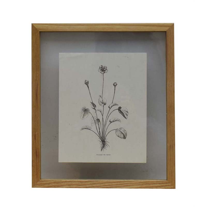 Natural oak frame with picture P970