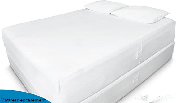 Mattress encasement