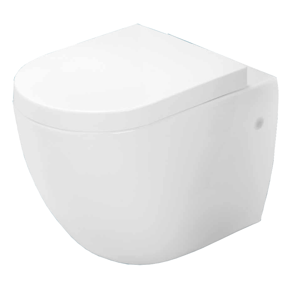 wall hung toilet