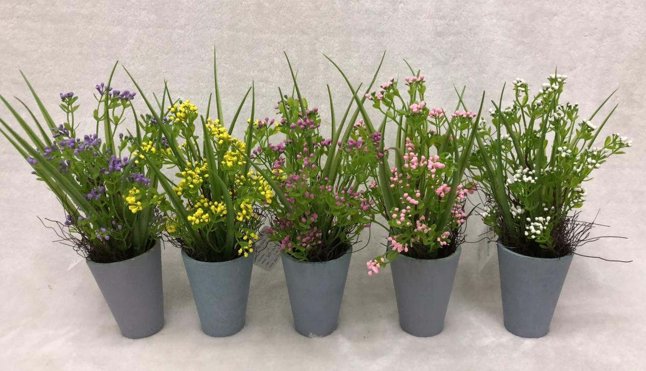 108#potted Grass