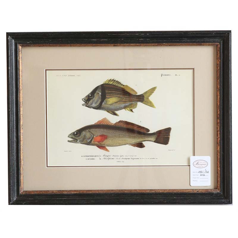 Rusty black with gold frame with picture