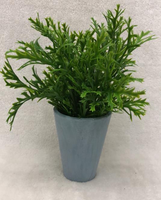110#potted Grass