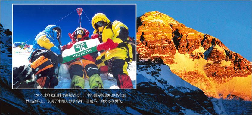 Zhongzhao International Bidding Limited Company – Bra 1