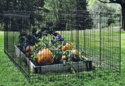 Multi-purpose fence latch