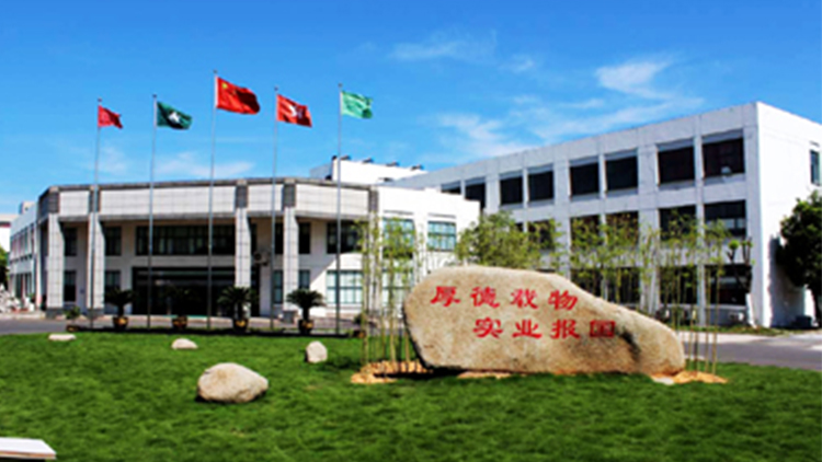 Shaoxing Hengsheng New Material Technology Development Co., Ltd. – paper napkin 1