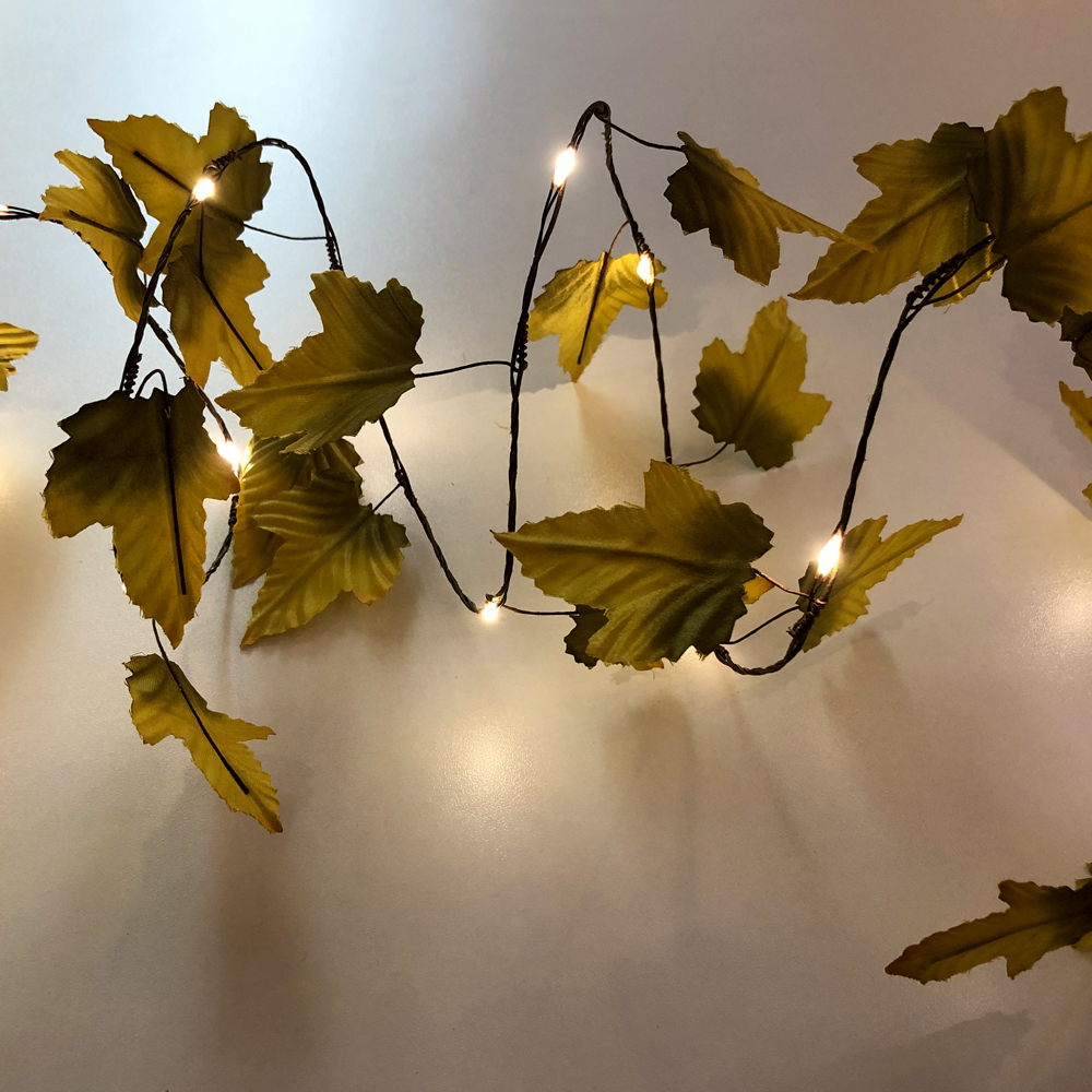 Battery operated micro LED lgihts string