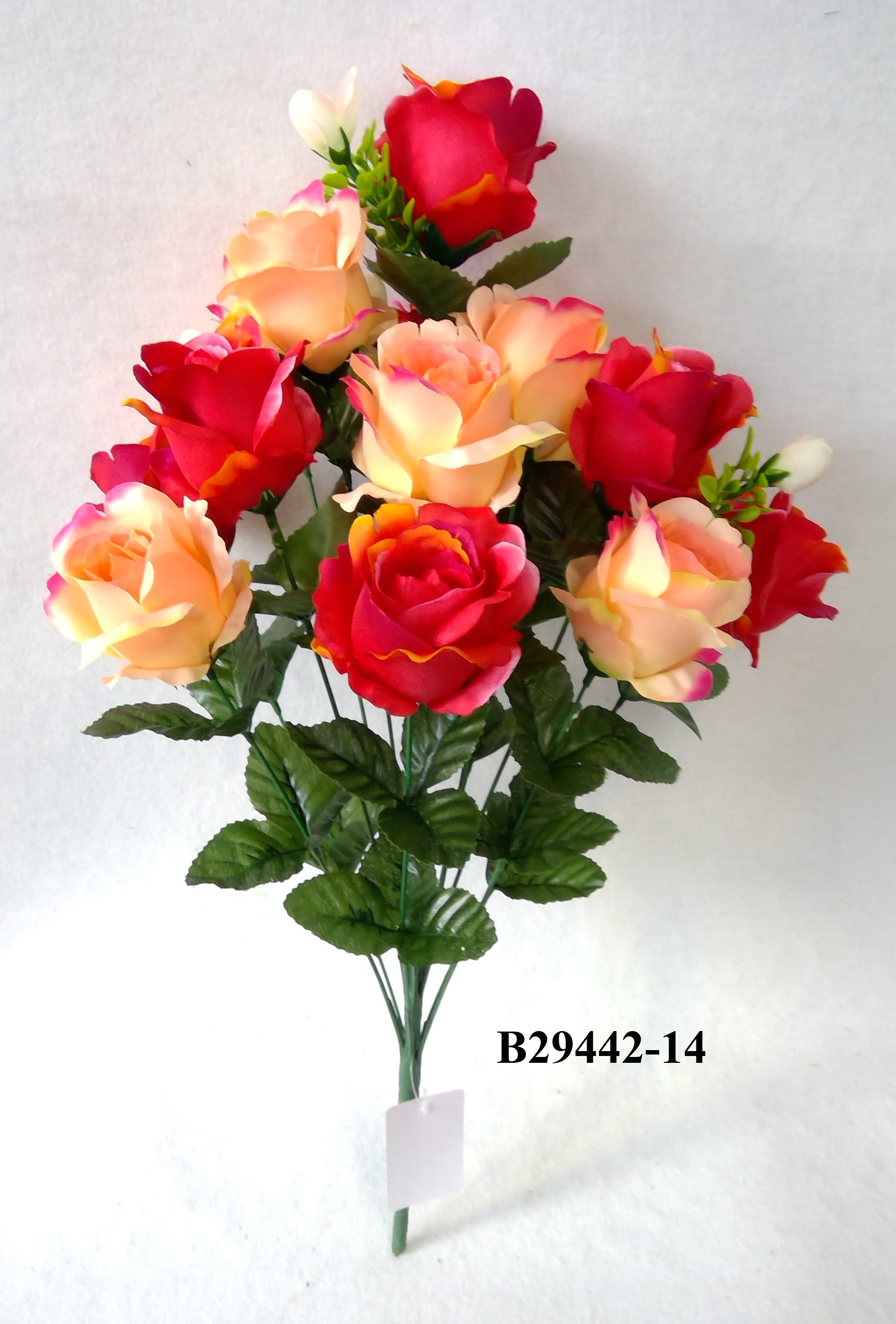 Rose bush x 14