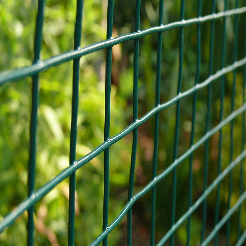 Green PVC Coated Wire Mesh Welded Wire Mesh Chicken Poultry Aviary Fence