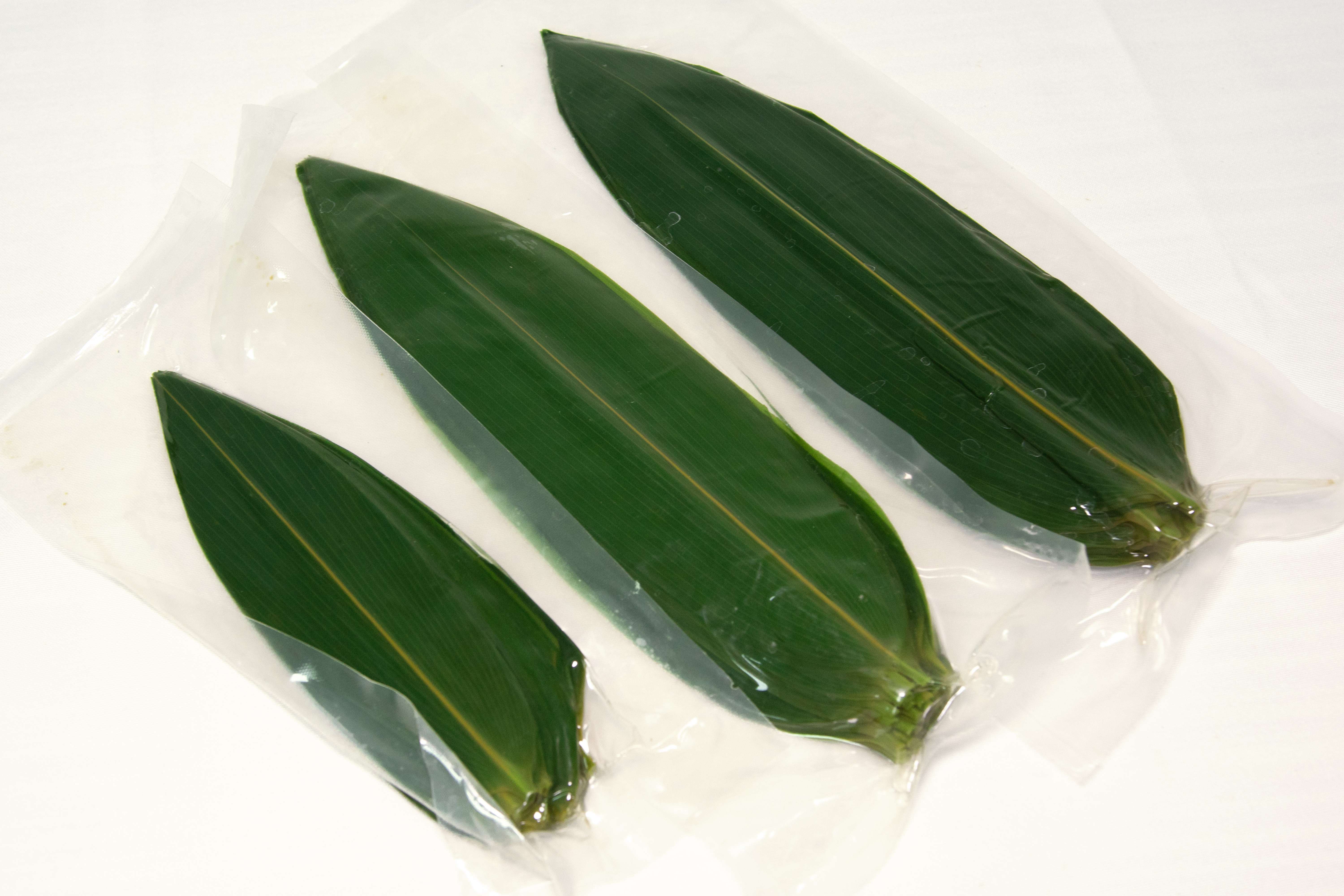 Bamboo leaf