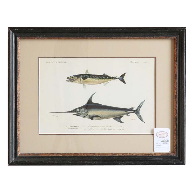 Rusty black with gold frame with picture