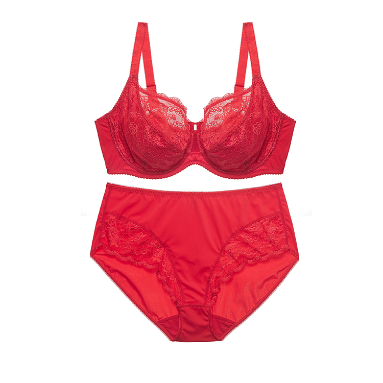 Custom ladies' lace nylon bra set manufacturer