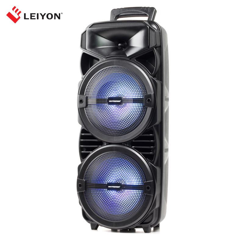 30W Double 8 inch Bluetooth Speaker D08A LED Lighting Portable Wireless Bluetooth Party Speaker