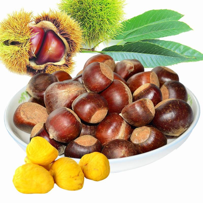 Fresh Chestnuts