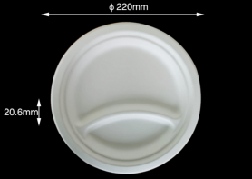 Compostable tableware 8.75" 2compartments Plate