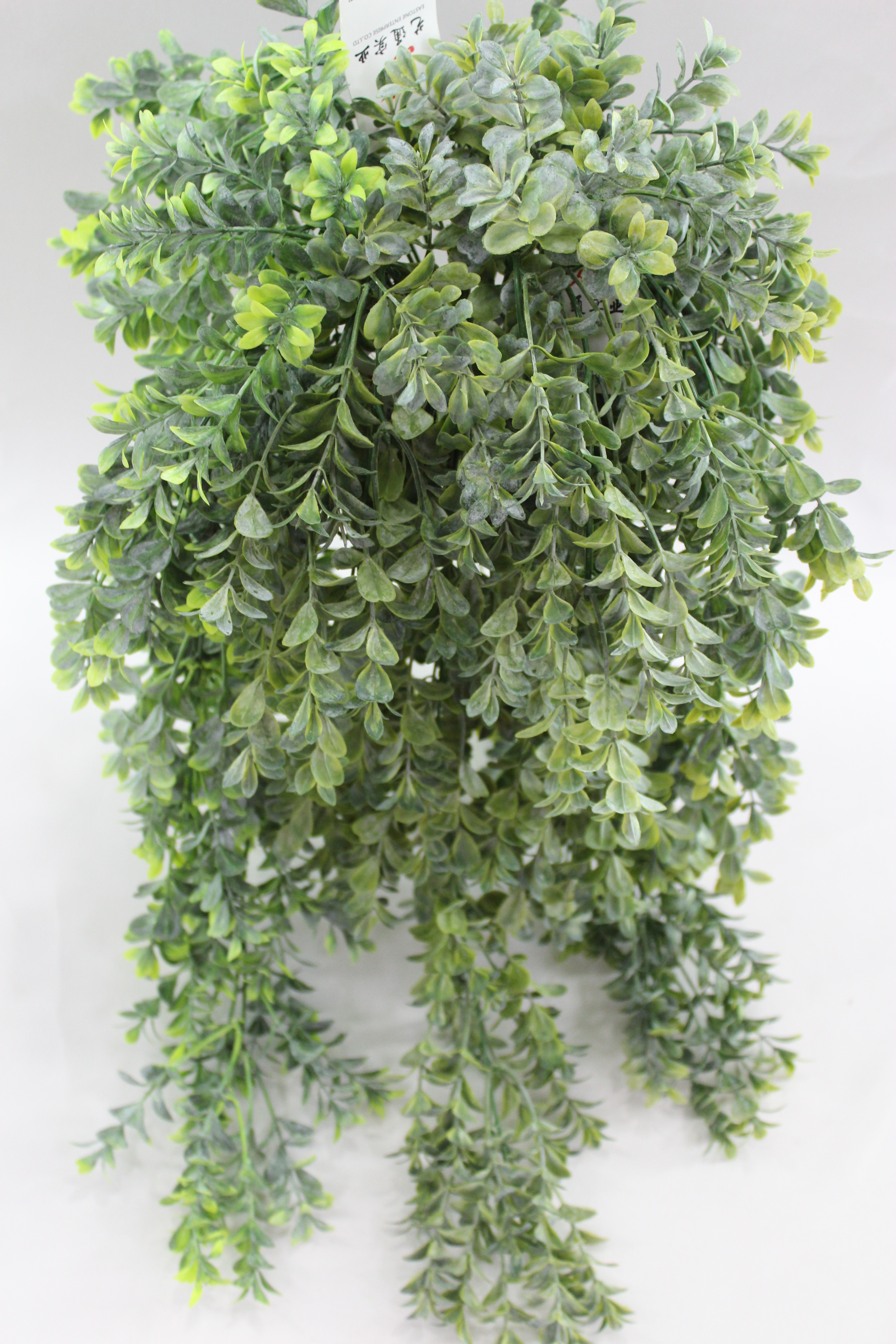 Plastic Plants
