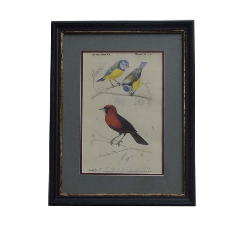 Rusty black with gold frame with picture