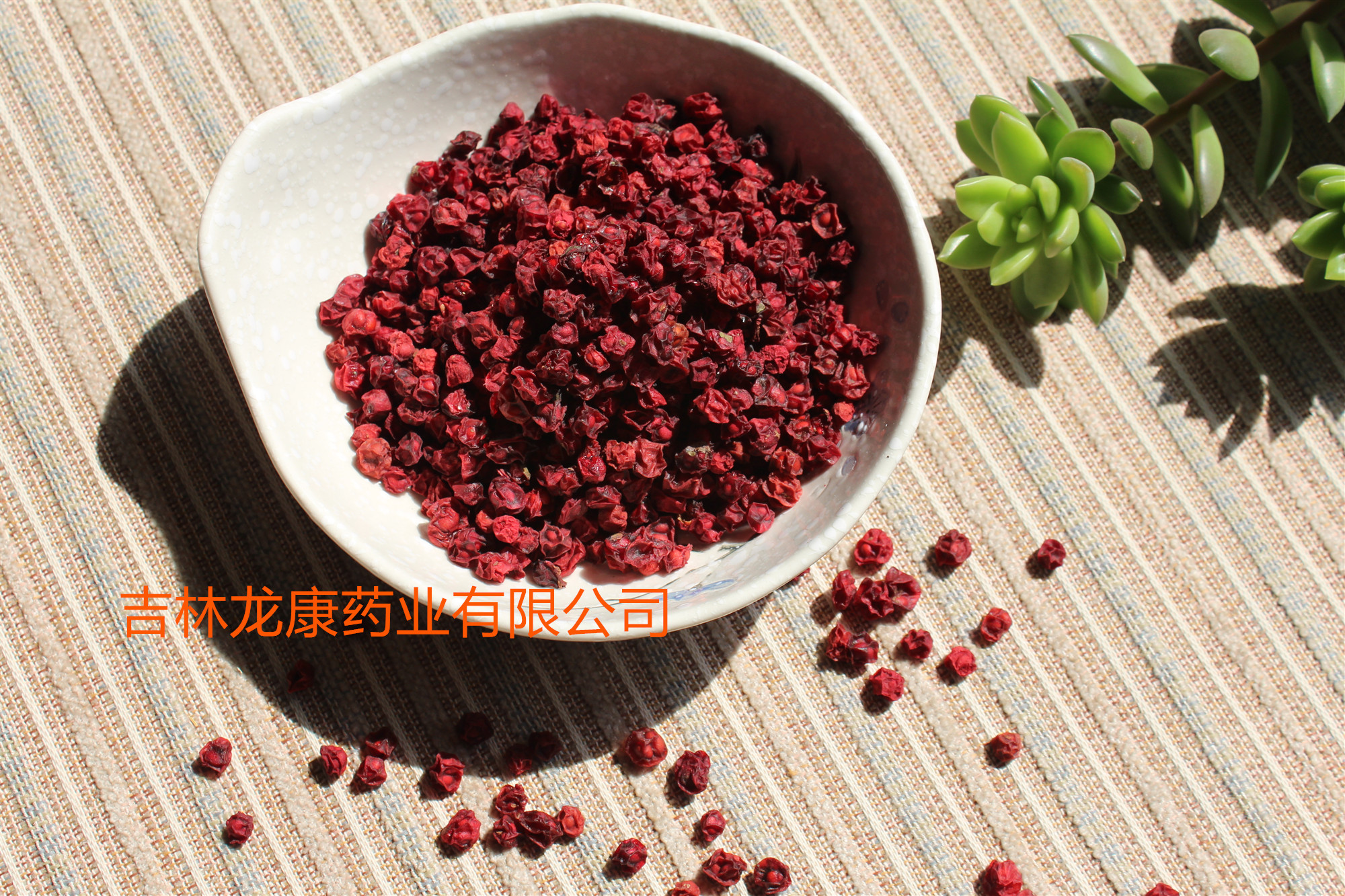 Schisandra Fruit