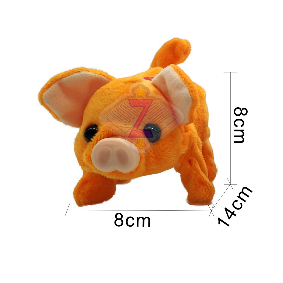 mini pig