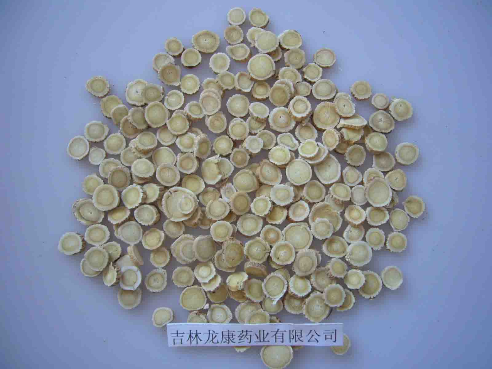 Astragalus Root