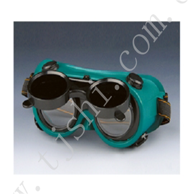 Goggle