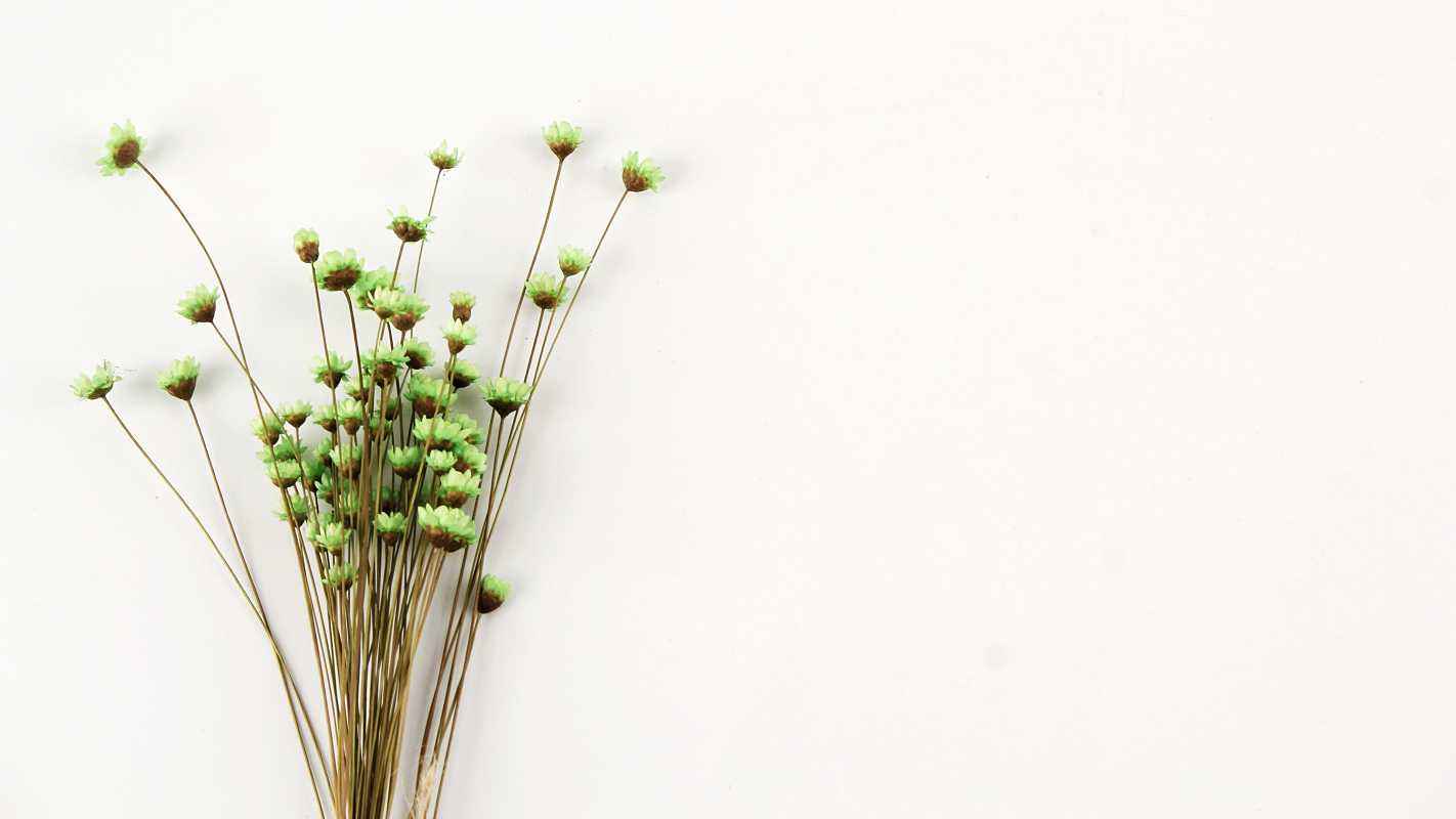 Dried flower adornment