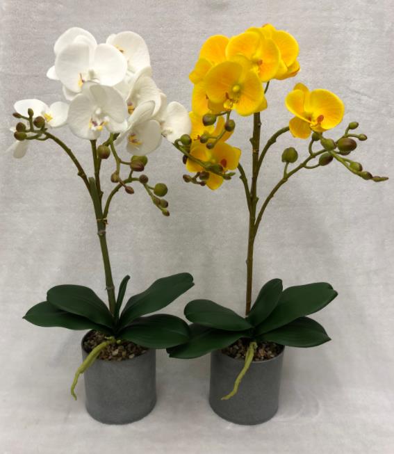 59#（real Touch）potted Orchid