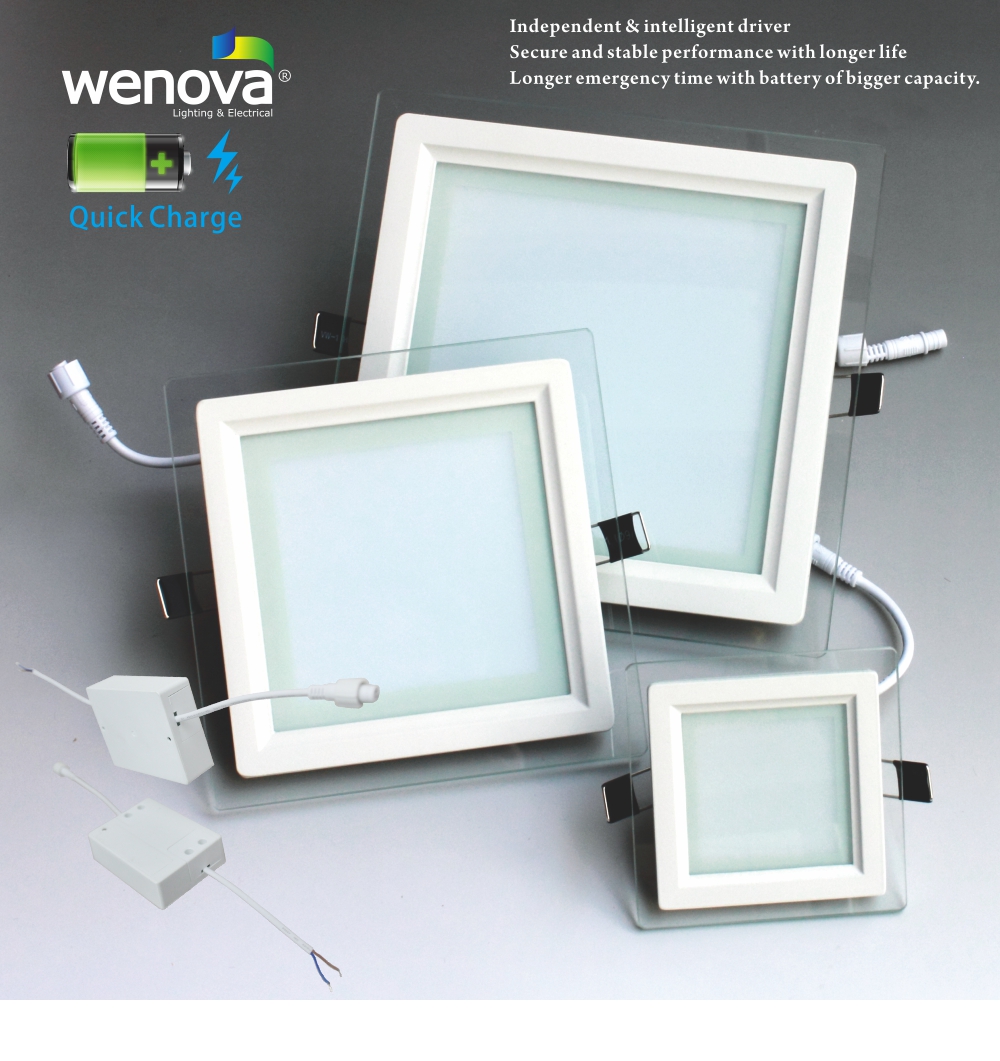 LED Emergency Down Light