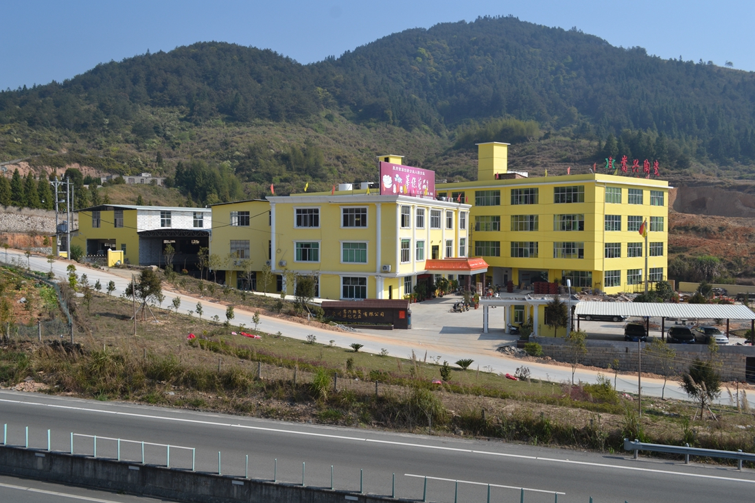 Quanzhou Songxing Ceramic Co., Ltd. – Photos produits 3