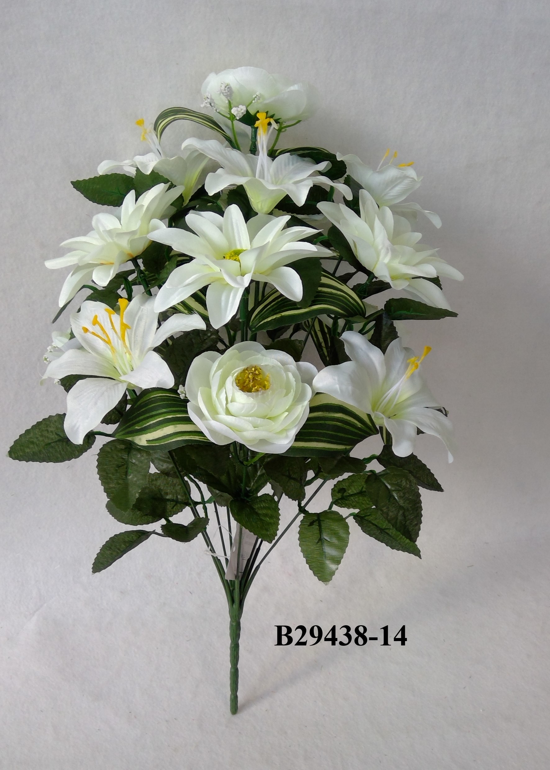 Camellia mum lily mix bush x 14