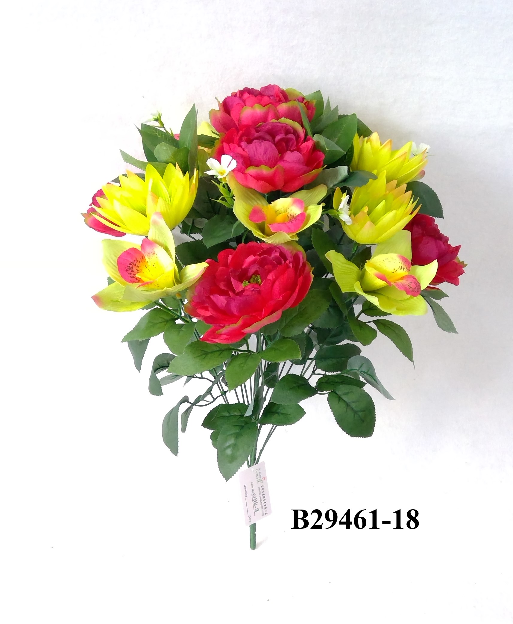 Lotus peony orchid mix bush x 18