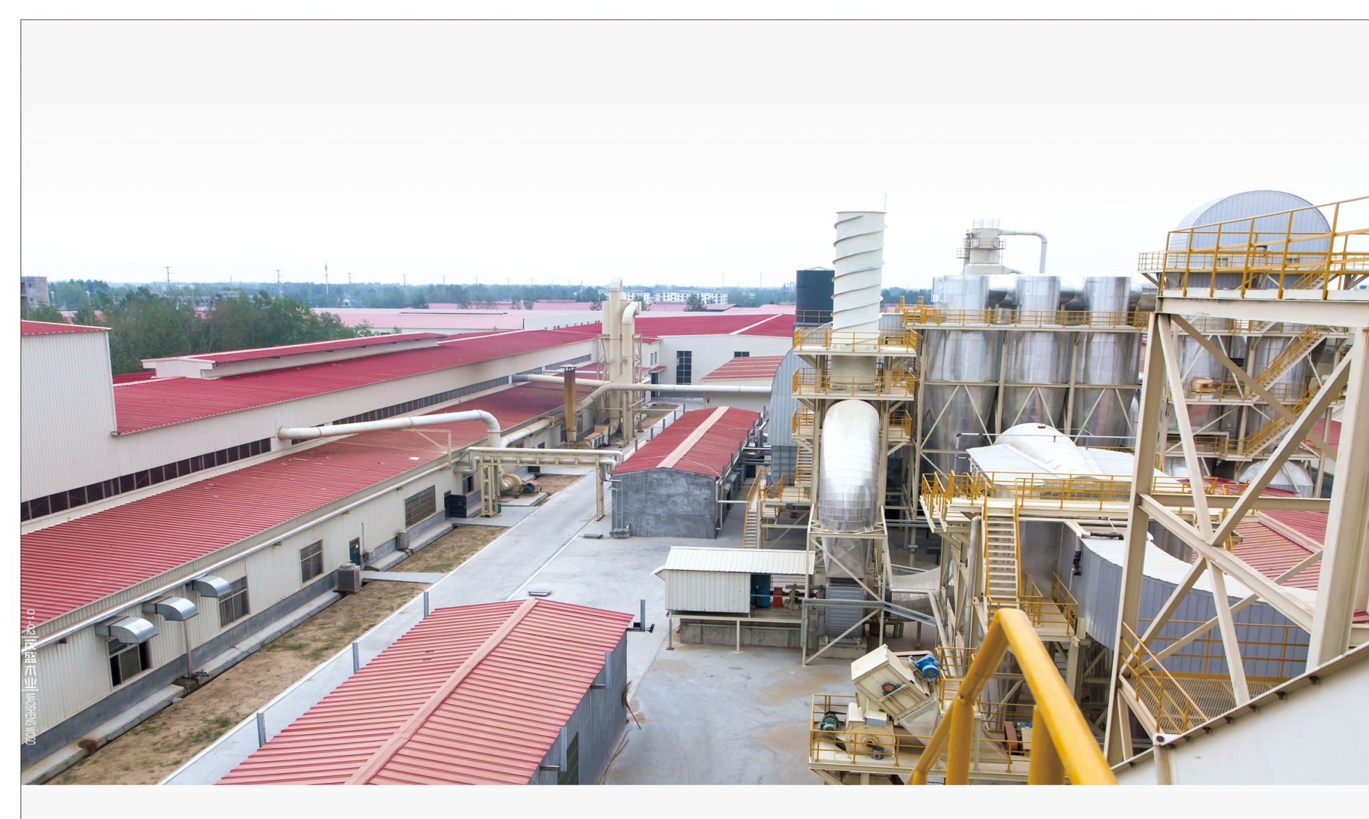 Shandong Heze Fulin Wood Industry Co., Ltd. – plywood 2