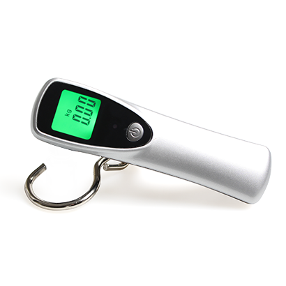 Eh-ls004 portable hook scale