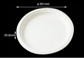 Disposable biodegradable tableware 10" Round Plate