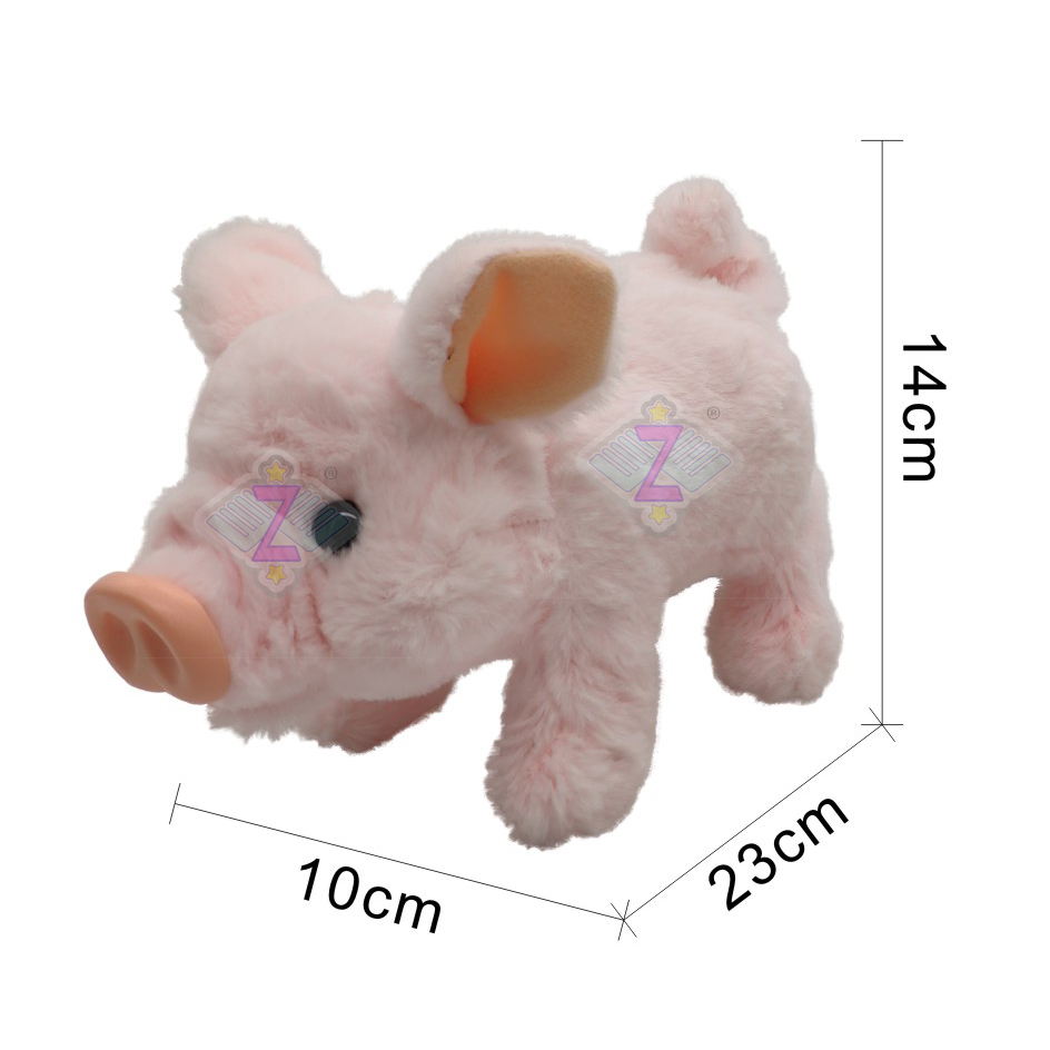 Big Pig