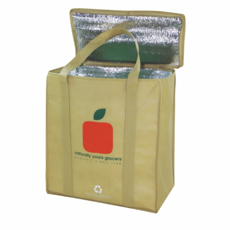 ECO Cheap Promotional outdoor non-woven cooler bag