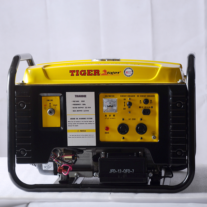 Gasoline Generator Sets