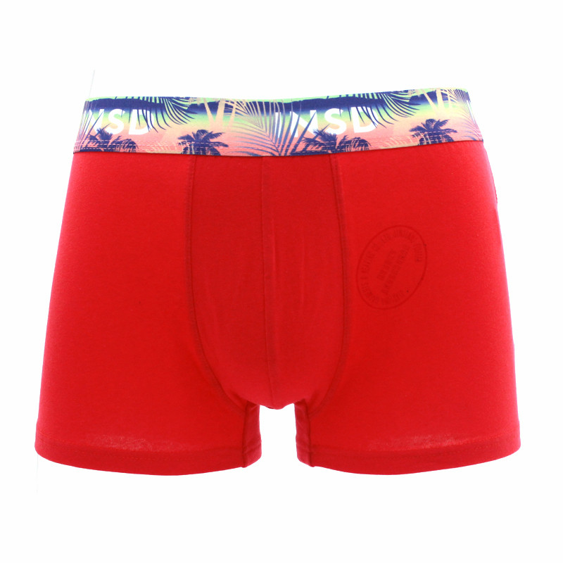 Men's Underwear