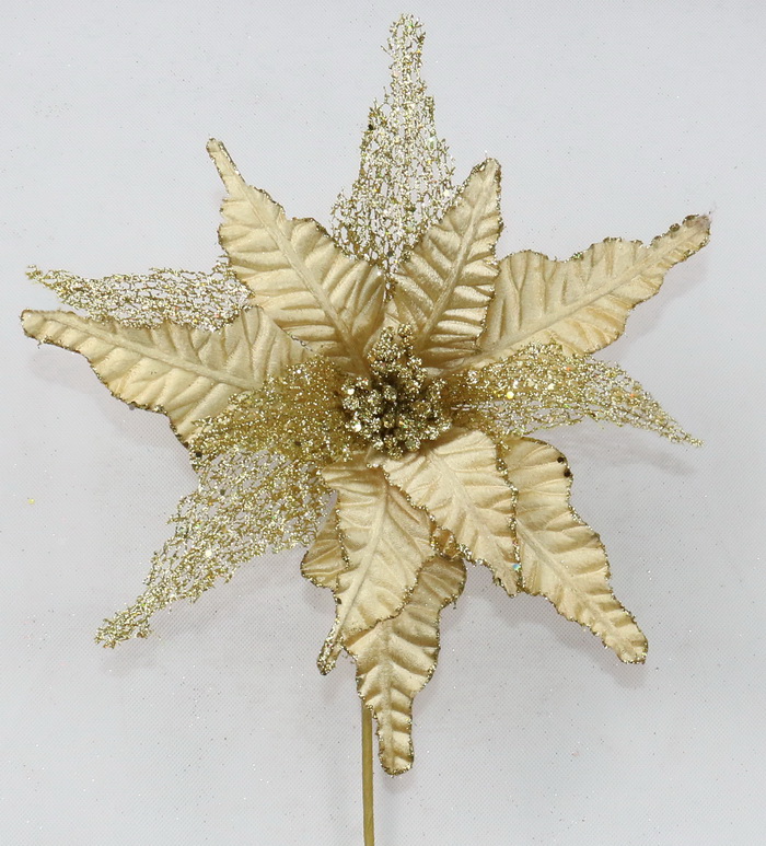 Poinsettia