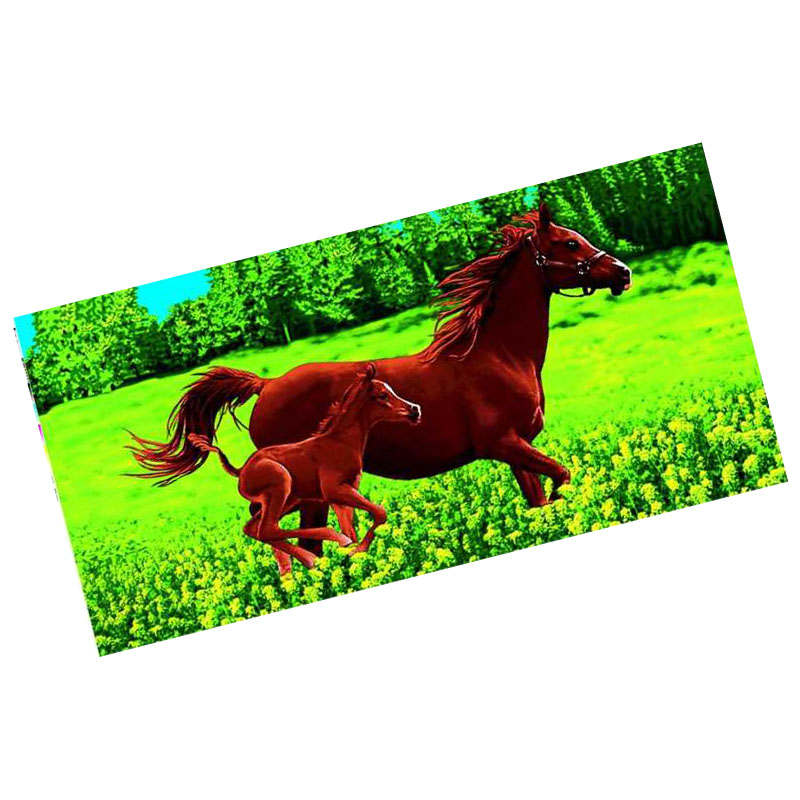 Beach Towel