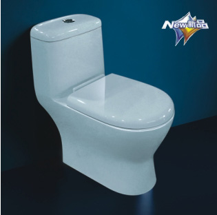 One-Piece Toilet