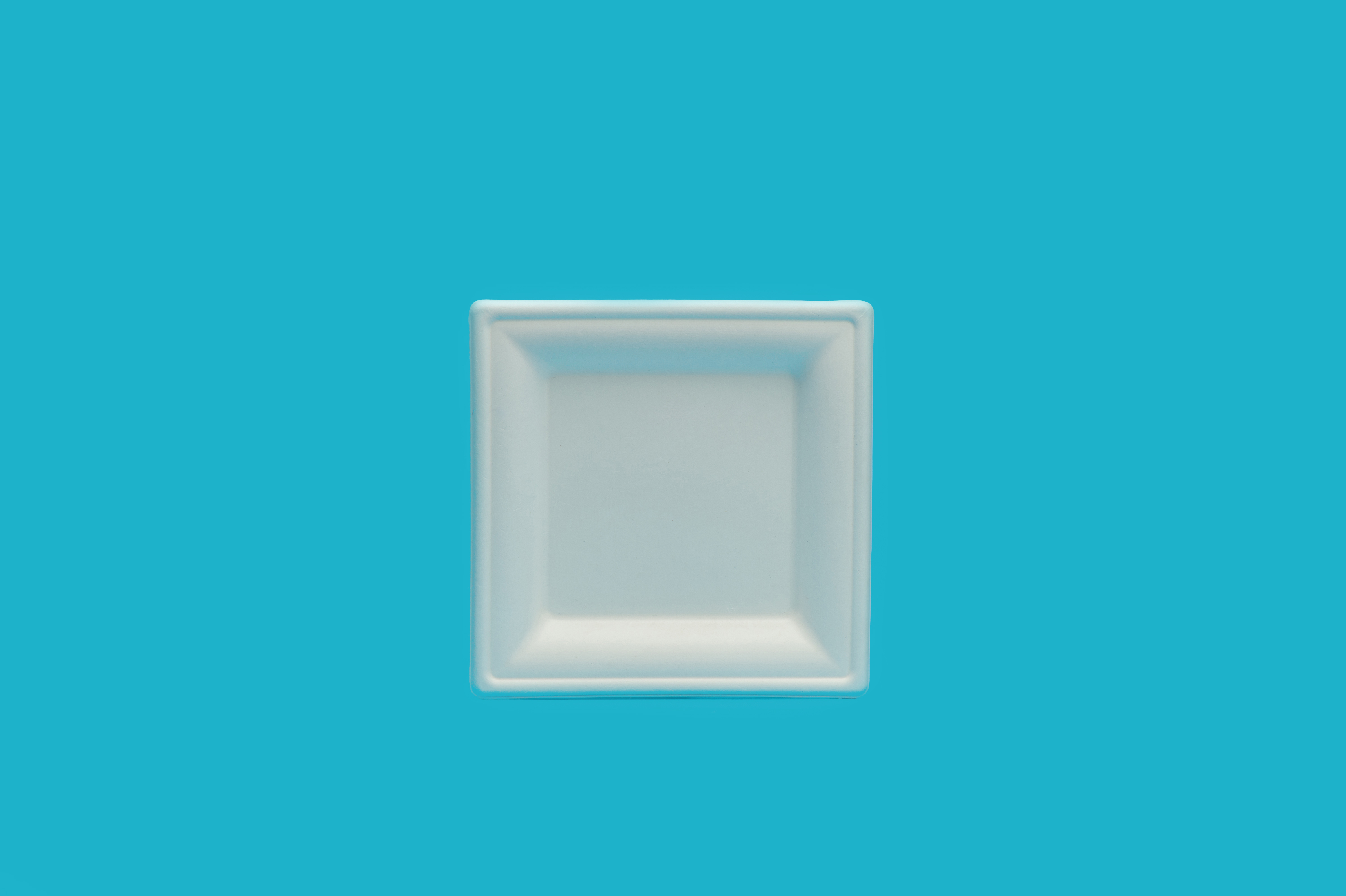6 inch square plate/8 inch square plate/10 inch square plate