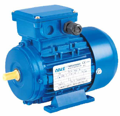 MS Series Three Phase Induction Motor MS-712-4