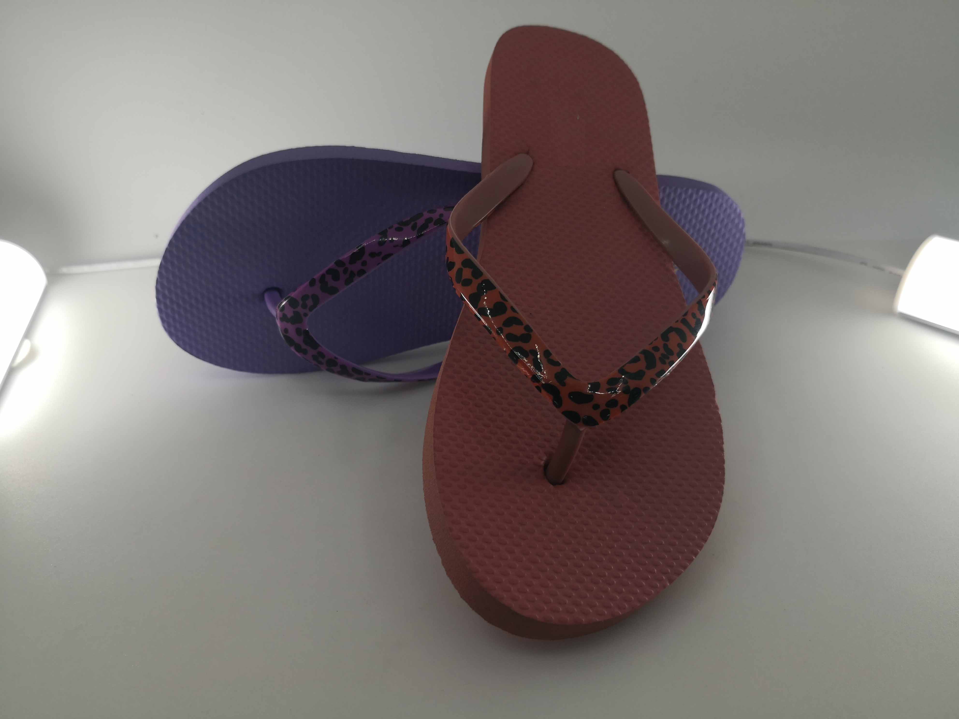 Flip Flop