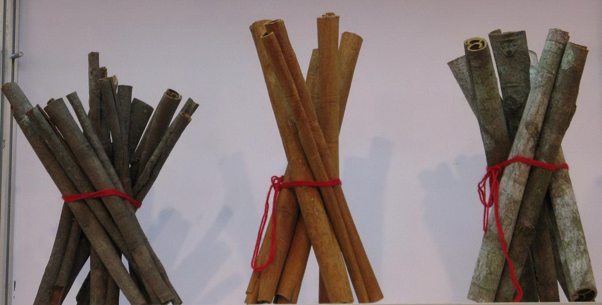 Cassia Tube