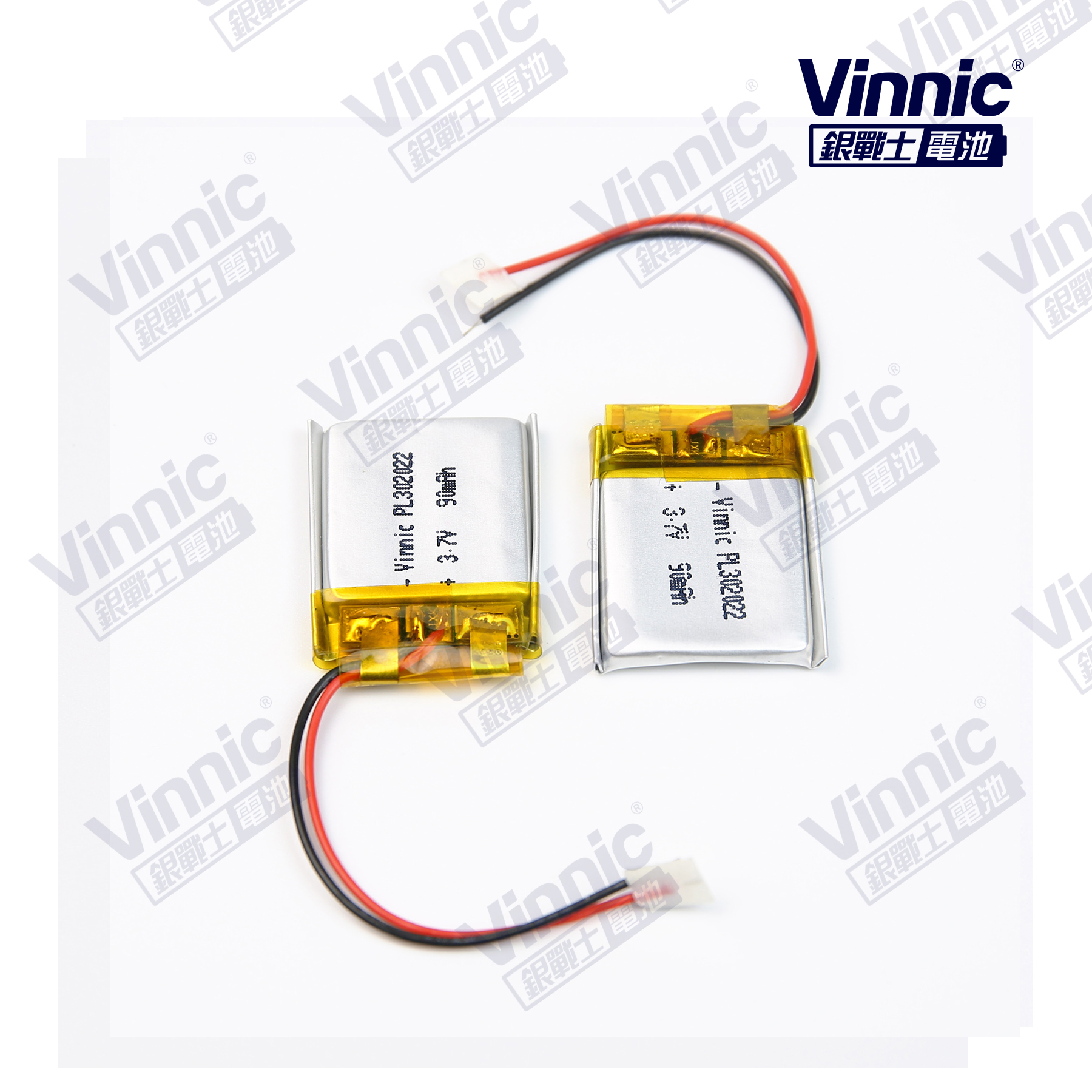 Polymer Lithium-ion Rechargeable Battery PL302022