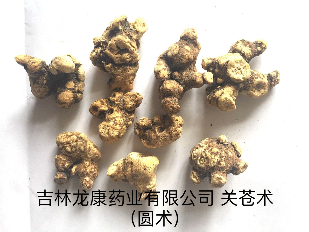 Atractylodes Rhizome