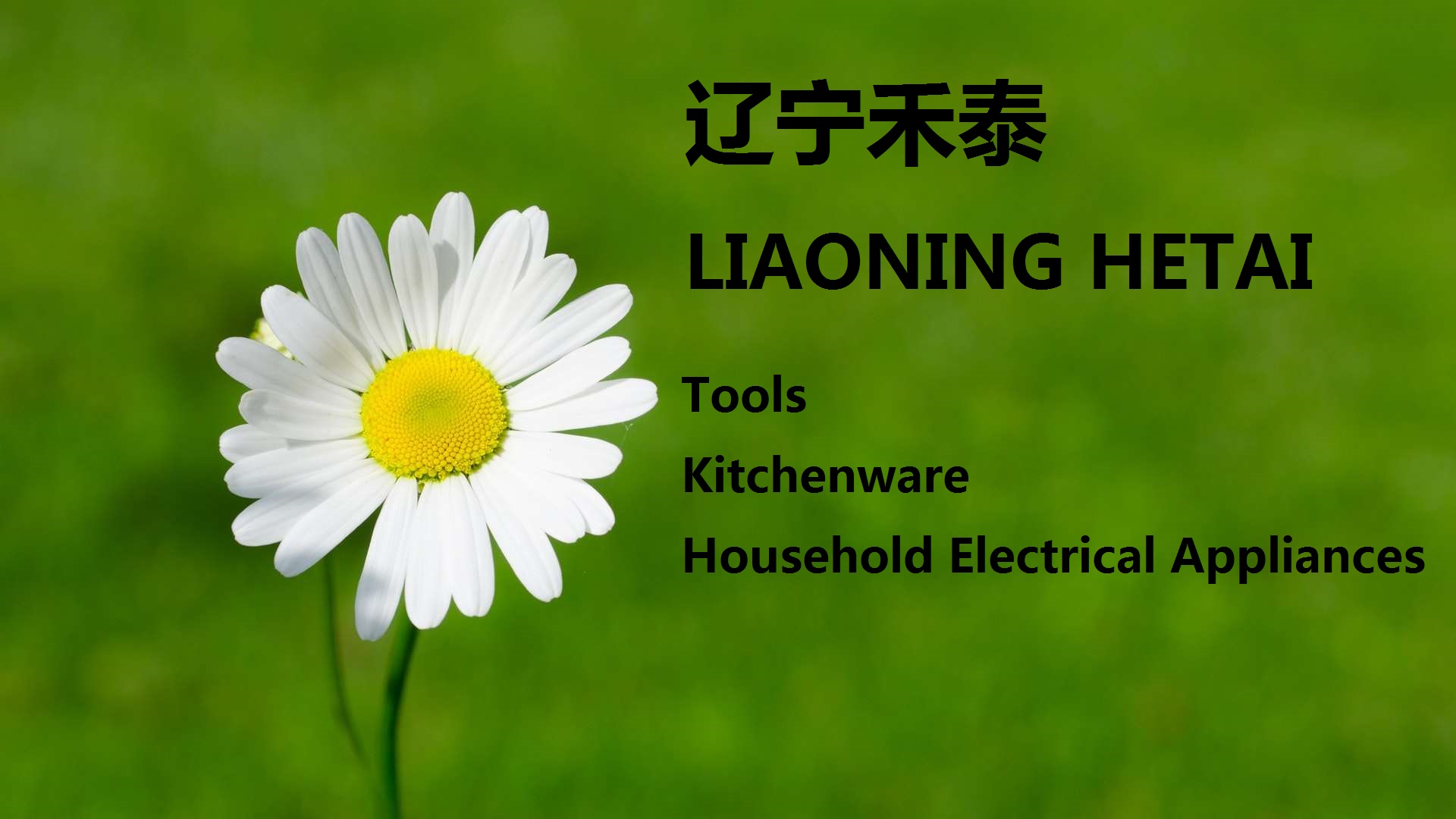 Liaoning Hetai Environmental Service Co., Ltd. – Smart vacuum cleaners 1
