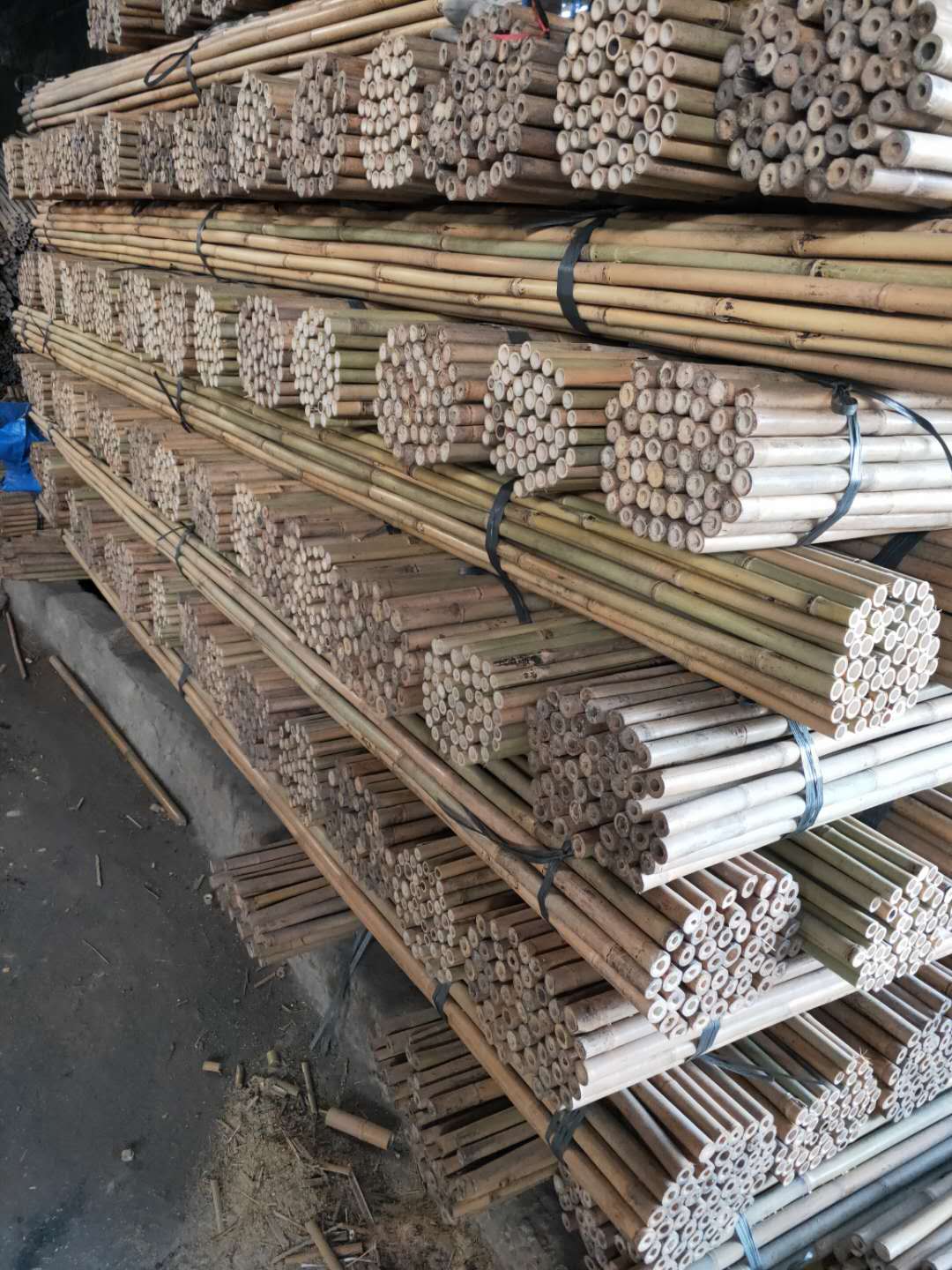 Bamboo Cane